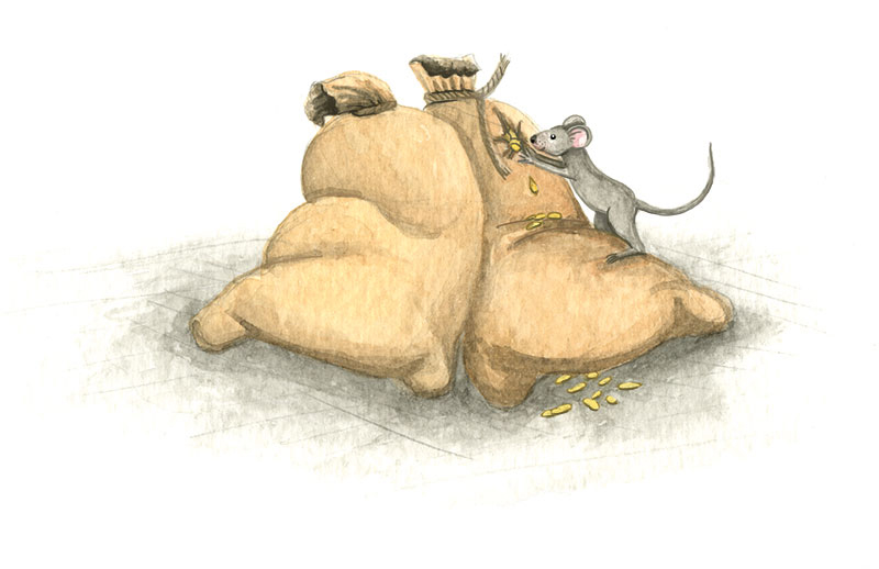 Zeichnung in Aquarell für das Buch Die Bremer Stadtmusikanten, eine Maus gaunert an den Jutesäcken voller Korn.