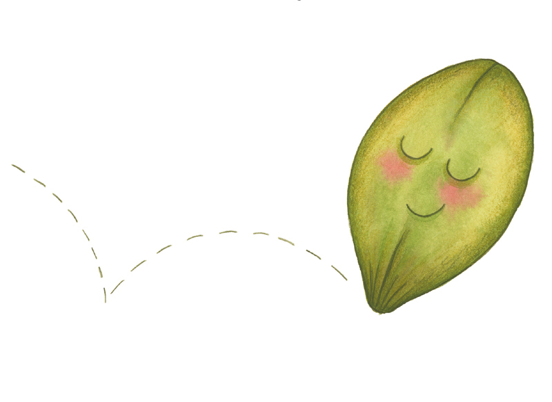 Zeichnungen in Aquarell und Layout für das Buch Von Kürbiskernen und Nilpferden.