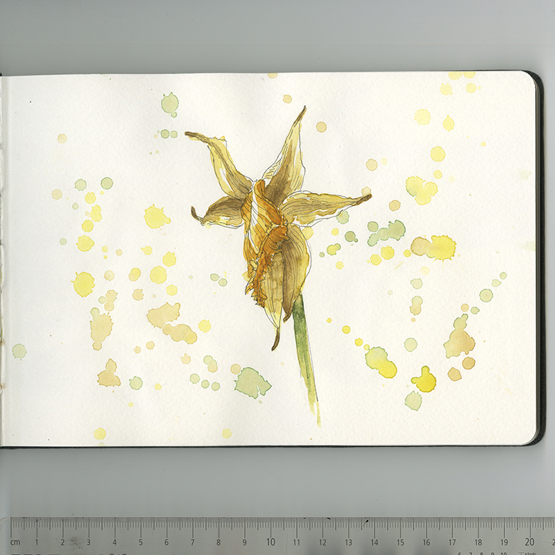 Skizzenbuch, Reiseskizzen, Sketchbook, Travelbook