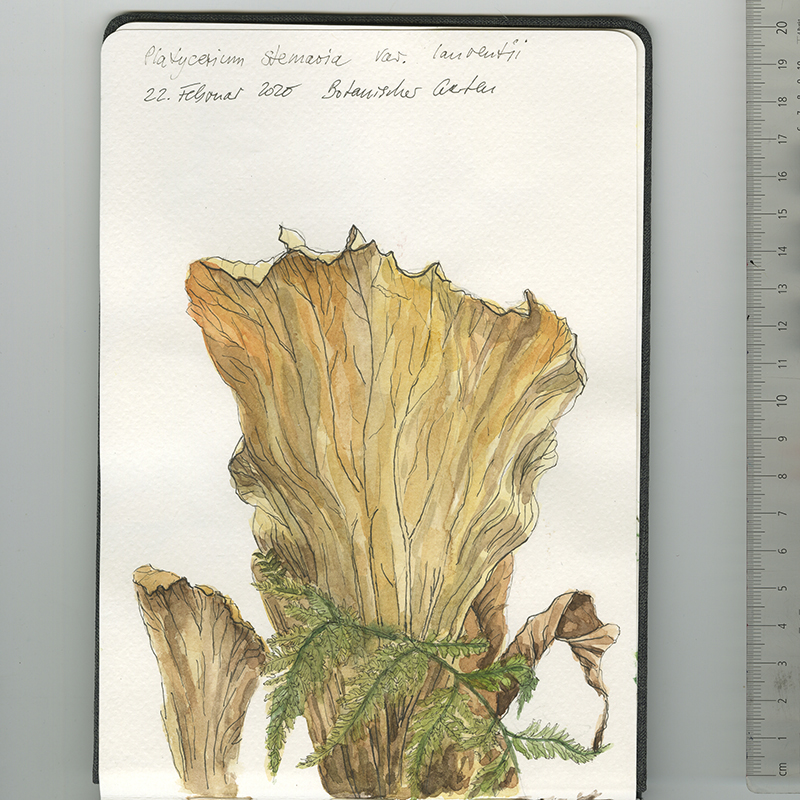 Skizzenbuch, Reiseskizzen, Sketchbook, Travelbook