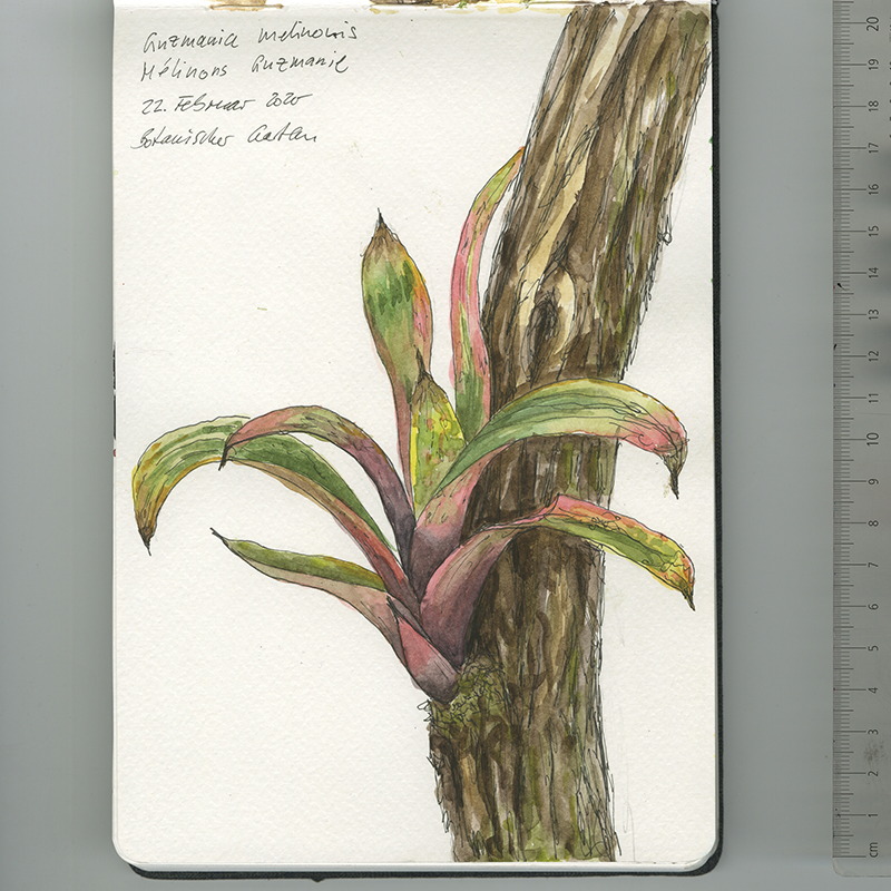 Skizzenbuch, Reiseskizzen, Sketchbook, Travelbook