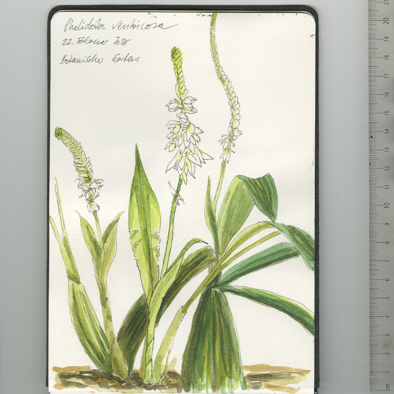 Skizzenbuch, Reiseskizzen, Sketchbook, Travelbook