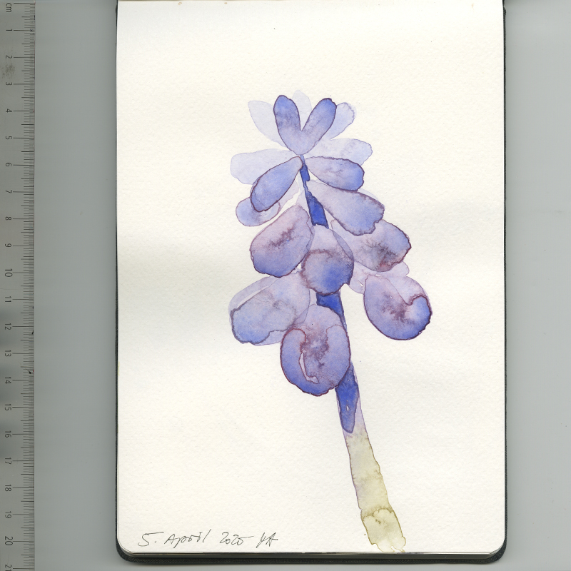 Skizzenbuch, Reiseskizzen, Sketchbook, Travelbook