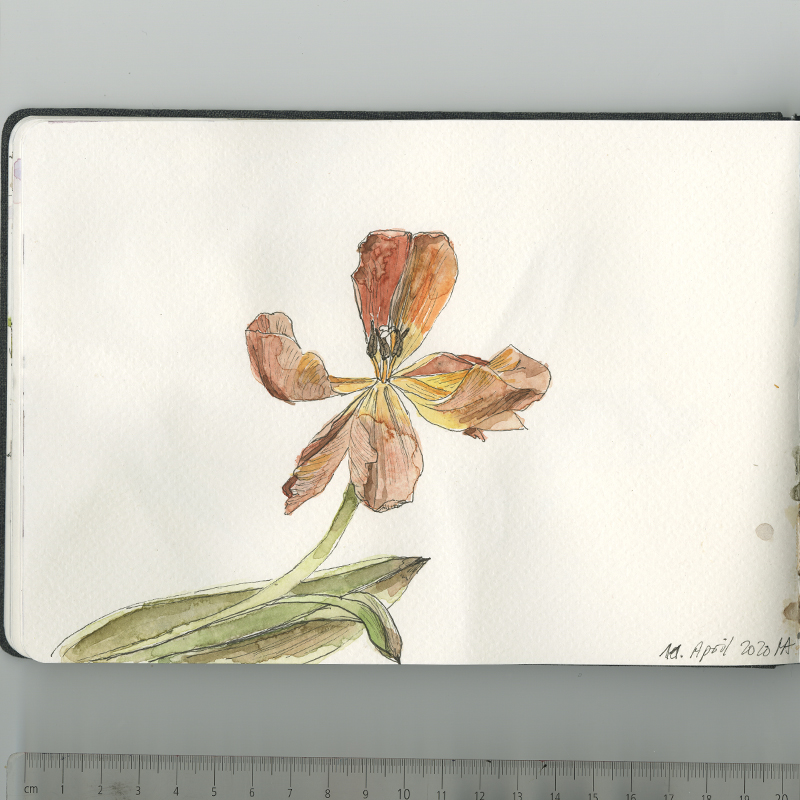 Skizzenbuch, Reiseskizzen, Sketchbook, Travelbook
