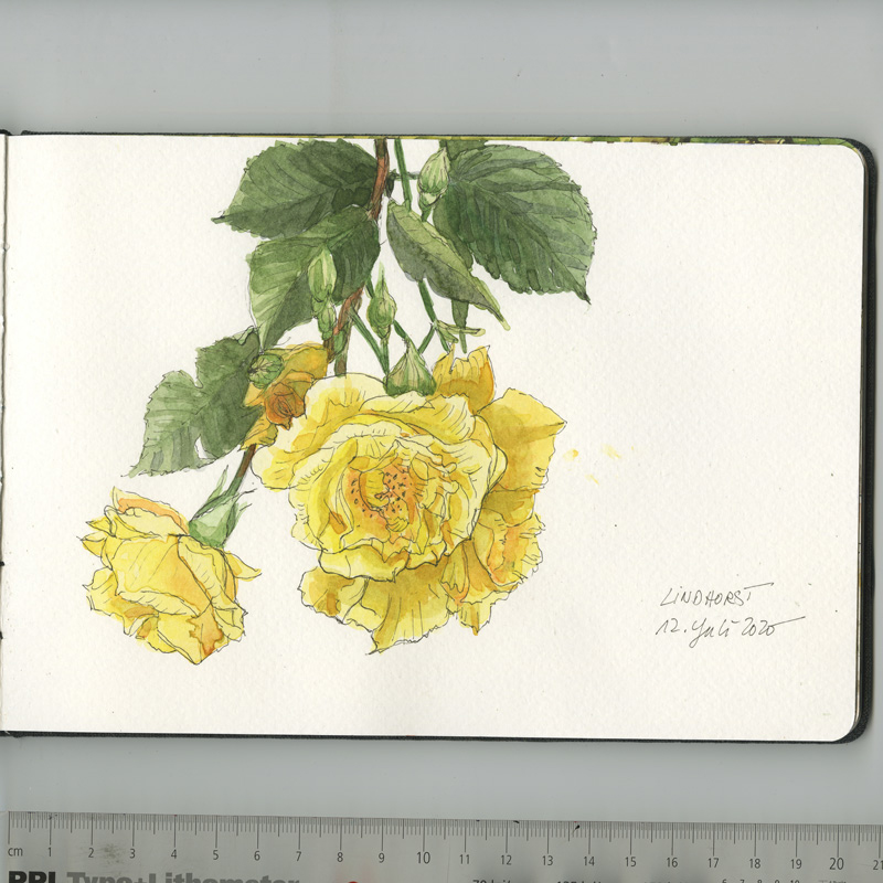 Skizzenbuch, Reiseskizzen, Sketchbook, Travelbook