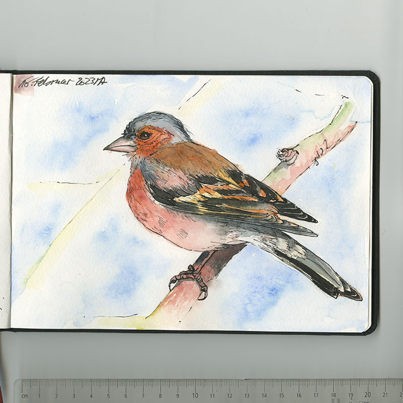 Skizzenbuch, Reiseskizzen, Sketchbook, Travelbook