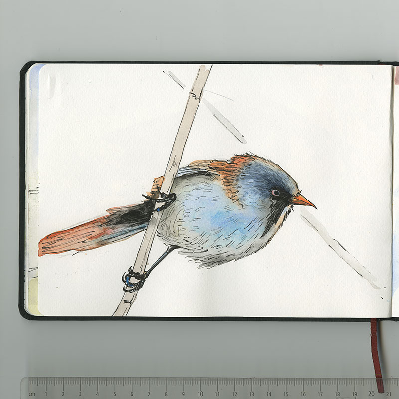 Skizzenbuch, Reiseskizzen, Sketchbook, Travelbook