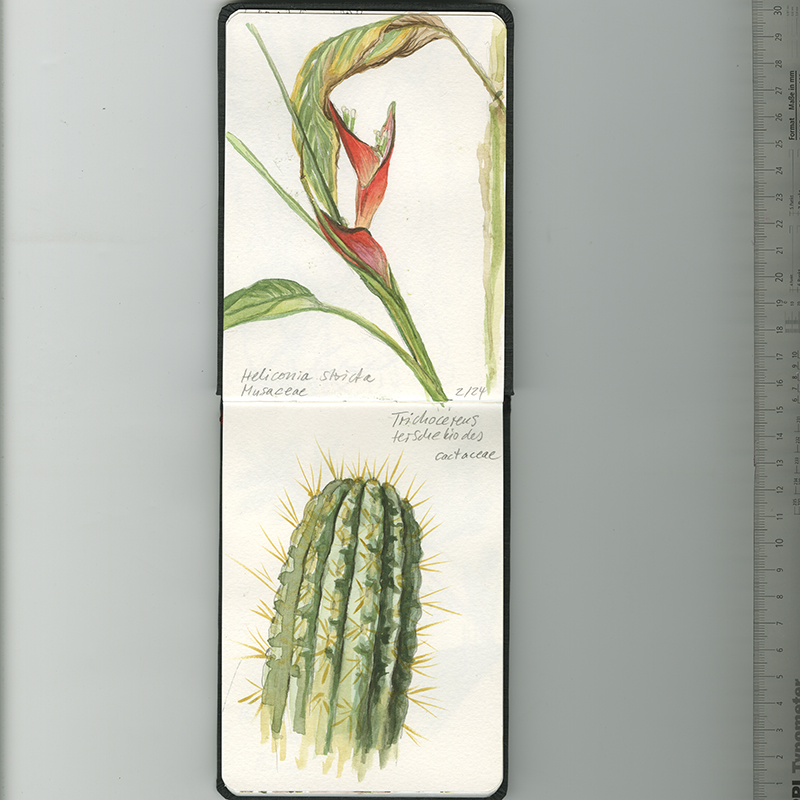 Skizzenbuch, Reiseskizzen, Sketchbook, Travelbook